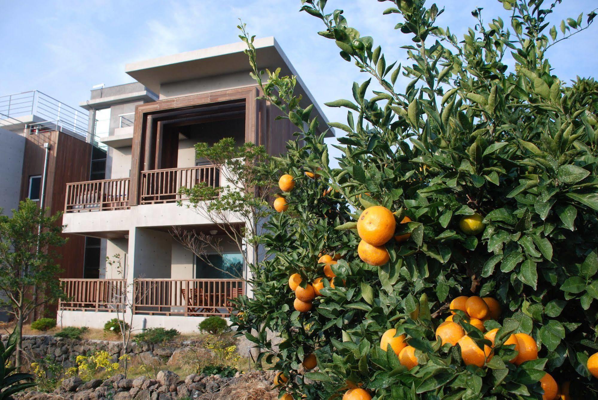 Jeju Eco Suites Seogwipo Exterior photo