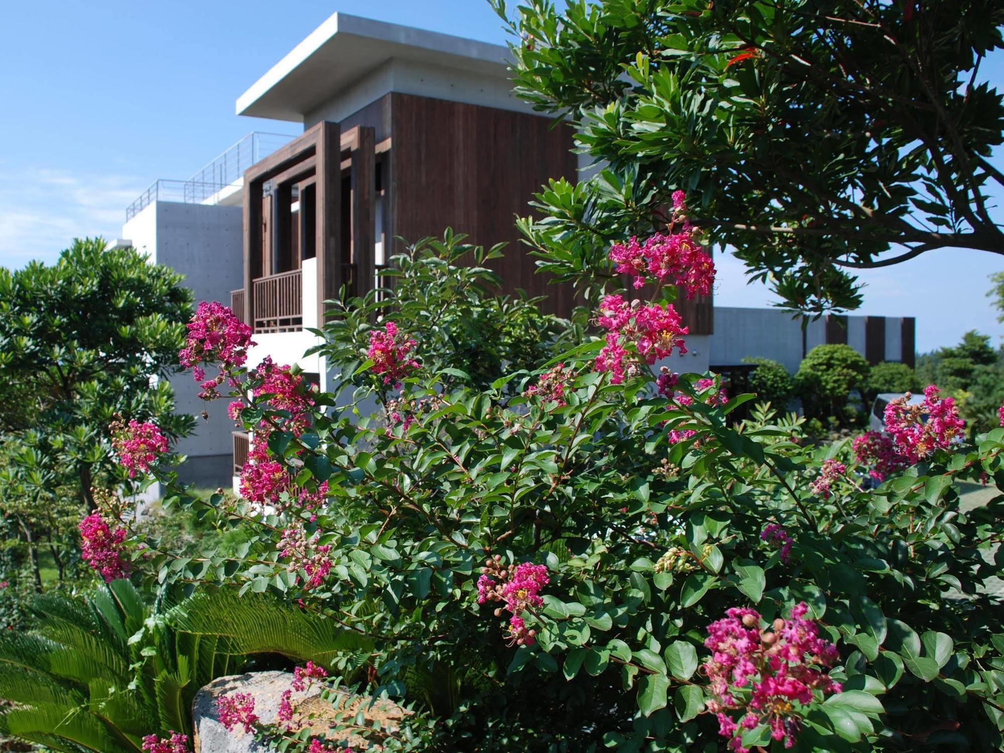 Jeju Eco Suites Seogwipo Exterior photo